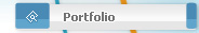 Our Portfolio